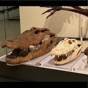 Meet your Posher, Daryl